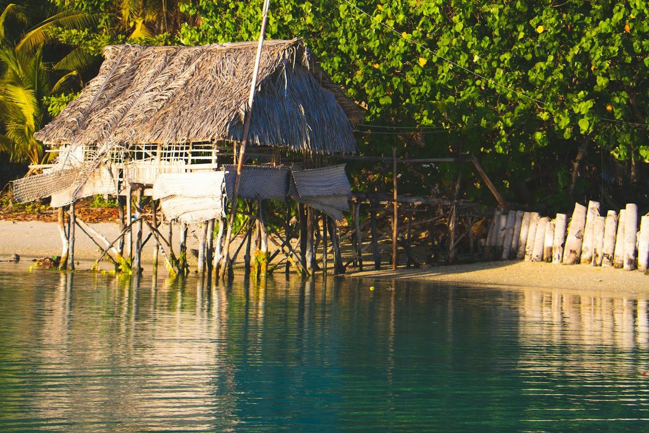 pexels cruise tiim 11682023 6268025 edited