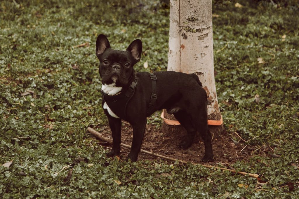 pexels roman odintsov 6332403